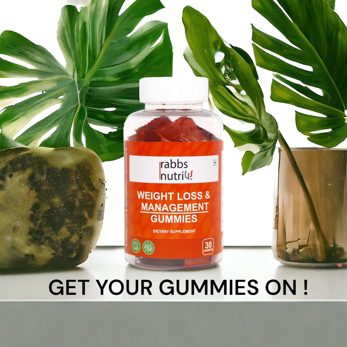 O Rabbs Collections – Rabbs Nutri